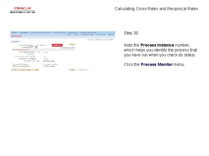 Calculating Cross Rates and Reciprocal Rates Step 30 Note the Process Instance number, which