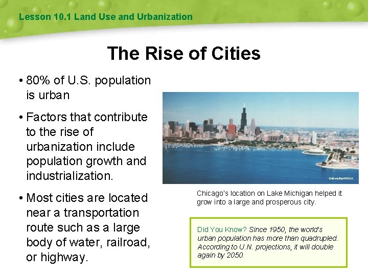 Lesson 10. 1 Land Use and Urbanization The Rise of Cities • 80% of