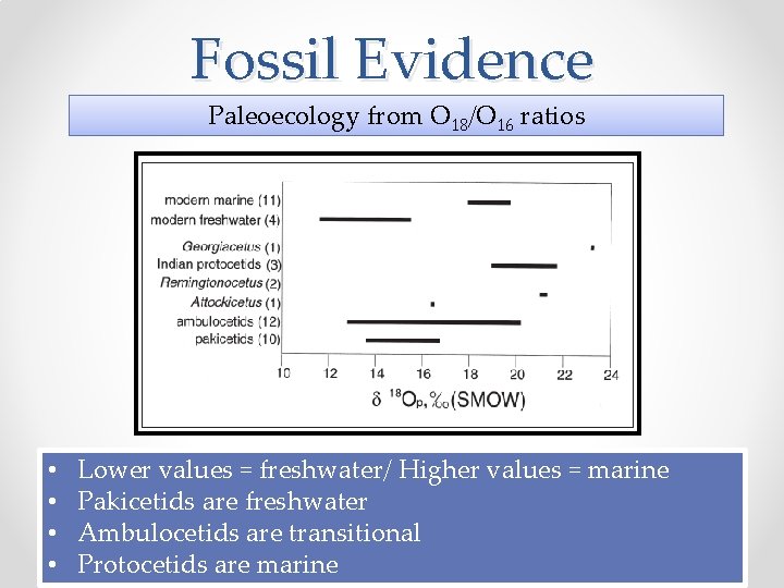 Fossil Evidence Paleoecology from O 18/O 16 ratios • • Lower values = freshwater/