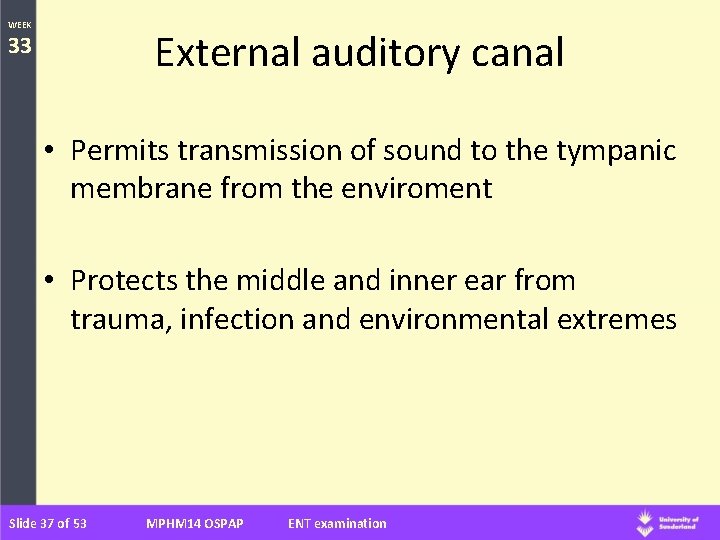 WEEK External auditory canal 33 • Permits transmission of sound to the tympanic membrane