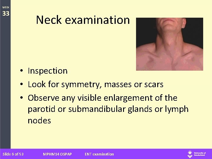 WEEK 33 Neck examination • Inspection • Look for symmetry, masses or scars •