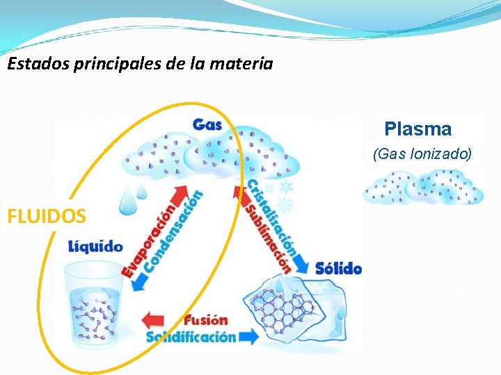 Estados principales de la materia Plasma (Gas Ionizado) FLUIDOS Estados principales de la materia Plasma (Gas Ionizado) FLUIDOS