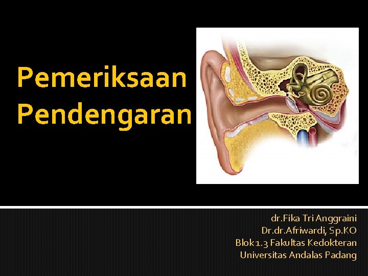 Pemeriksaan Pendengaran dr. Fika Tri Anggraini Dr. dr. Afriwardi, Sp. KO Blok 1. 3