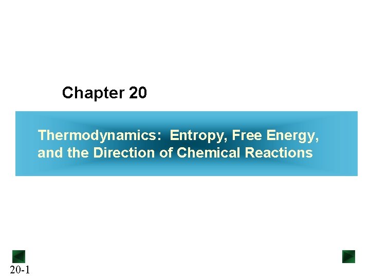 Chapter 20 Thermodynamics Entropy Free Energy and the