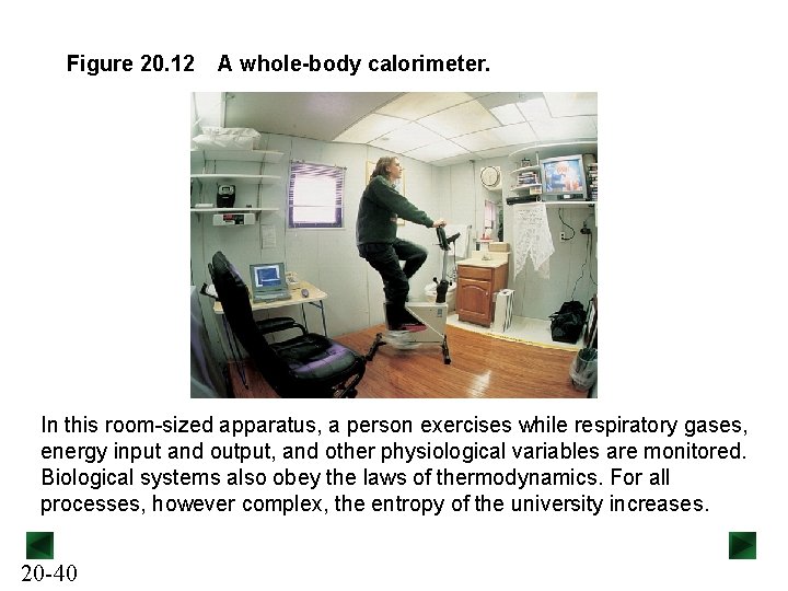 Figure 20. 12 A whole-body calorimeter. In this room-sized apparatus, a person exercises while