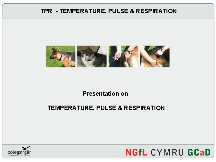 TPR - TEMPERATURE, PULSE & RESPIRATION Presentation on TEMPERATURE, PULSE & RESPIRATION 