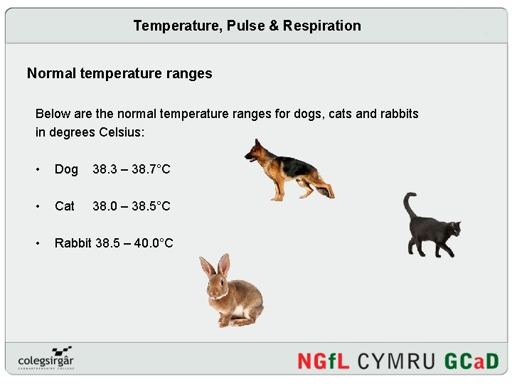 Temperature, Pulse & Respiration Normal temperature ranges Below are the normal temperature ranges for