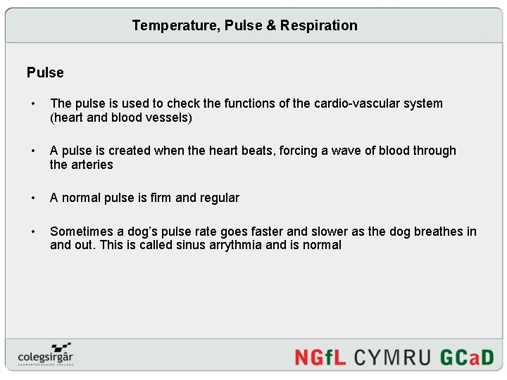 Temperature, Pulse & Respiration Pulse • The pulse is used to check the functions