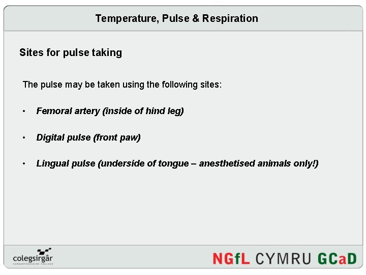 Temperature, Pulse & Respiration Sites for pulse taking The pulse may be taken using