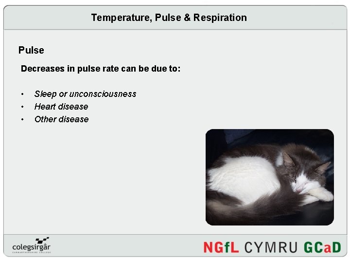 Temperature, Pulse & Respiration Pulse Decreases in pulse rate can be due to: •