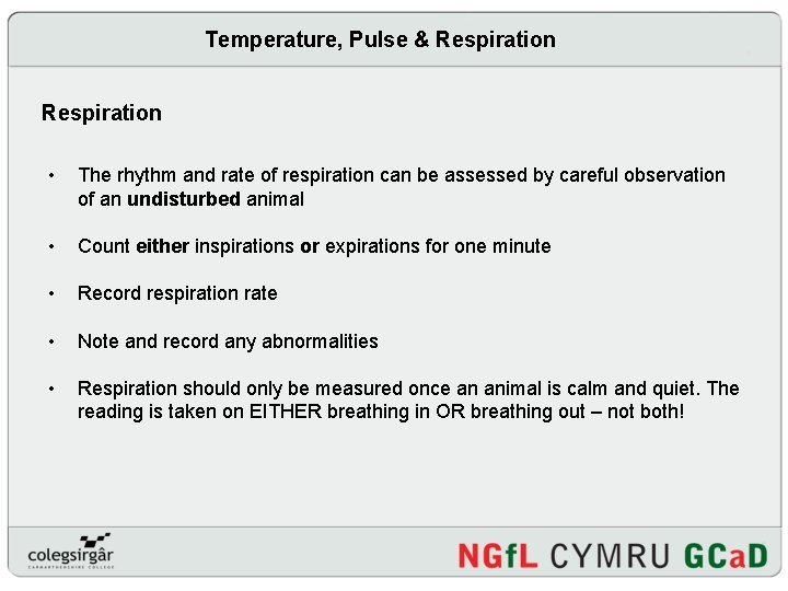 Temperature, Pulse & Respiration • The rhythm and rate of respiration can be assessed