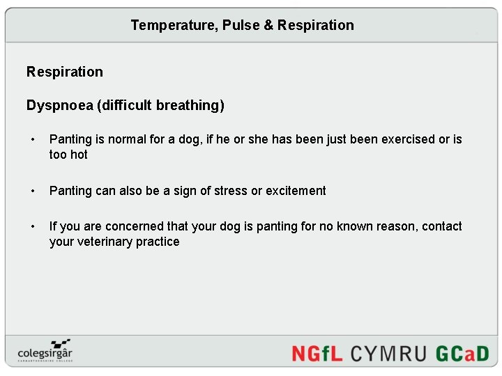 Temperature, Pulse & Respiration Dyspnoea (difficult breathing) • Panting is normal for a dog,