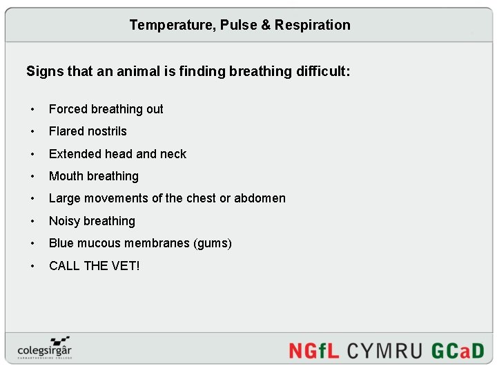 Temperature, Pulse & Respiration Signs that an animal is finding breathing difficult: • Forced