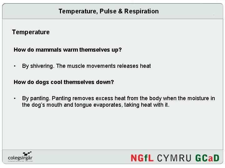 Temperature, Pulse & Respiration Temperature How do mammals warm themselves up? • By shivering.