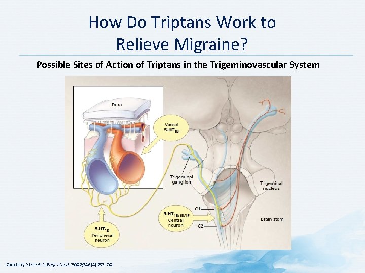 How Do Triptans Work to Relieve Migraine? Possible Sites of Action of Triptans in