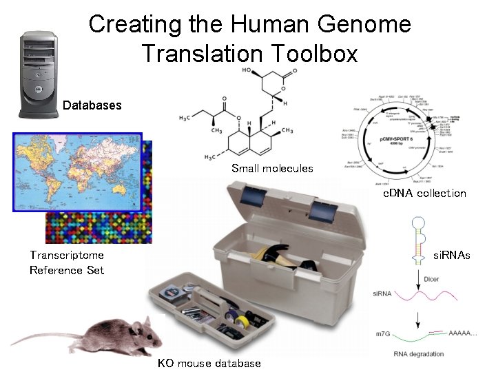 Creating the Human Genome Translation Toolbox Databases Small molecules c. DNA collection Transcriptome Reference
