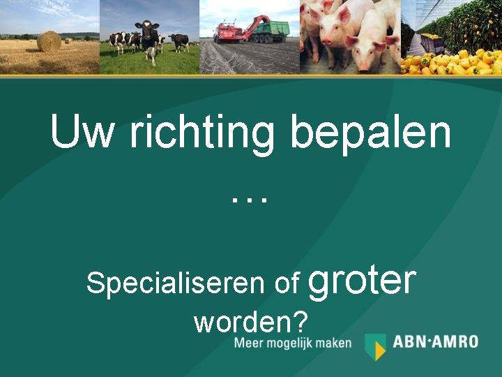 Uw richting bepalen … Specialiseren of groter worden? 