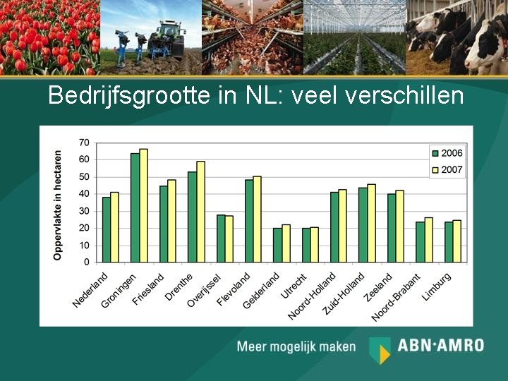 Bedrijfsgrootte in NL: veel verschillen 