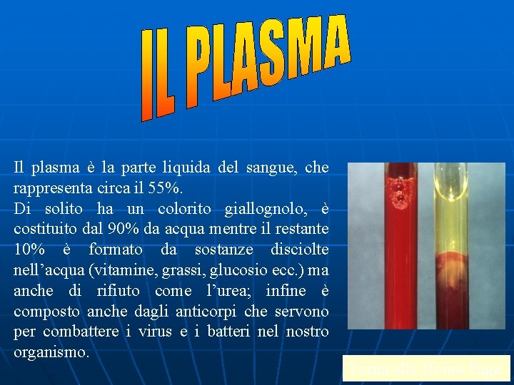 Il plasma è la parte liquida del sangue, che rappresenta circa il 55%. Di