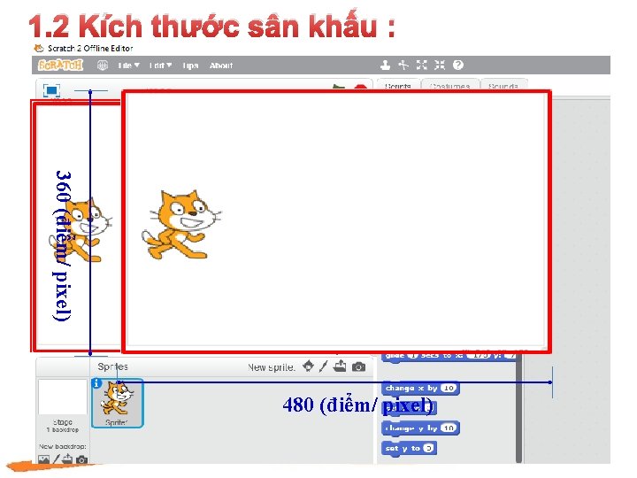 1. 2 Kích thước sân khấu : 360 (điểm/ pixel) 480 (điểm/ pixel) 