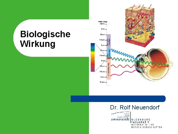 Biologische Wirkung Dr. Rolf Neuendorf 