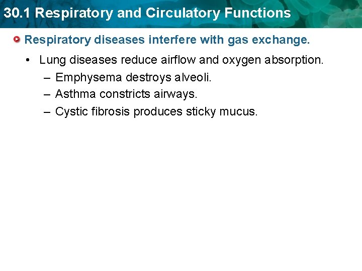 30. 1 Respiratory and Circulatory Functions Respiratory diseases interfere with gas exchange. • Lung 30. 1 Respiratory and Circulatory Functions Respiratory diseases interfere with gas exchange. • Lung