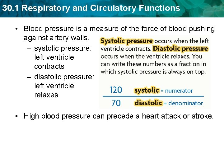 30. 1 Respiratory and Circulatory Functions • Blood pressure is a measure of the 30. 1 Respiratory and Circulatory Functions • Blood pressure is a measure of the