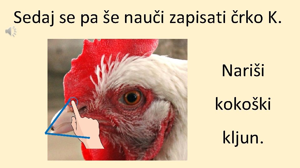 Sedaj se pa še nauči zapisati črko K. Nariši kokoški kljun. 