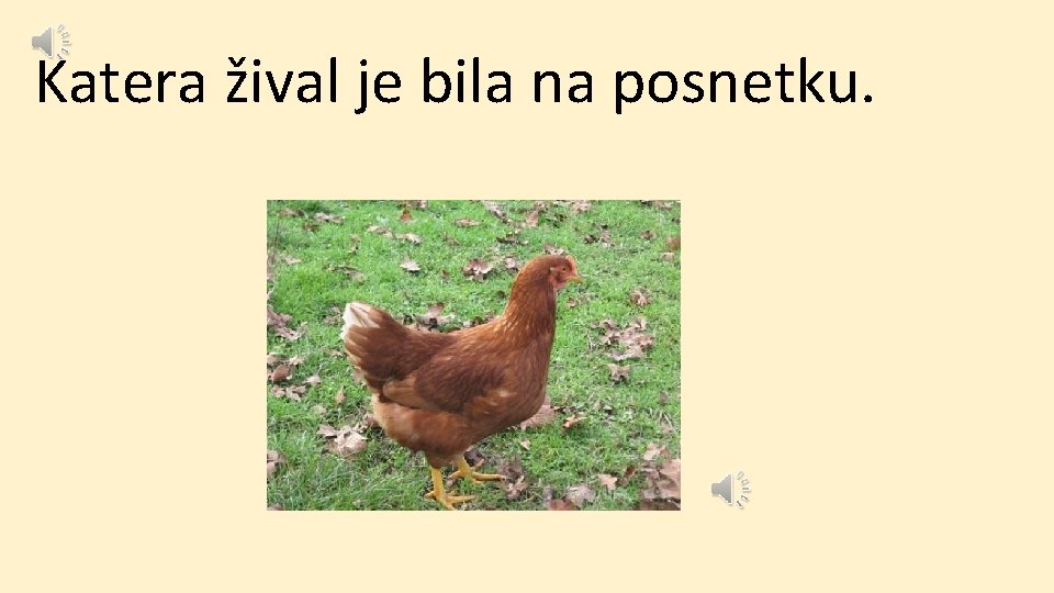 Katera žival je bila na posnetku. 