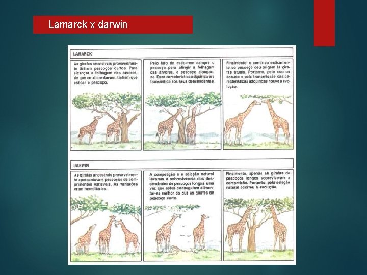 Lamarck x darwin 