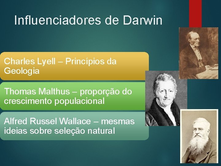 Influenciadores de Darwin Charles Lyell – Princípios da Geologia Thomas Malthus – proporção do