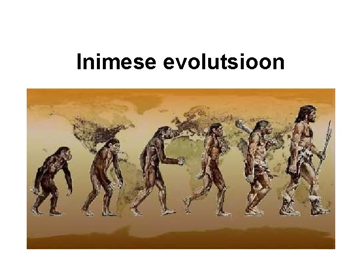 Inimese evolutsioon 