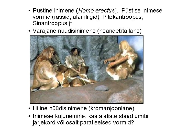  • Püstine inimene (Homo erectus). Püstise inimese vormid (rassid, alamliigid): Pitekantroopus, Sinantroopus jt.