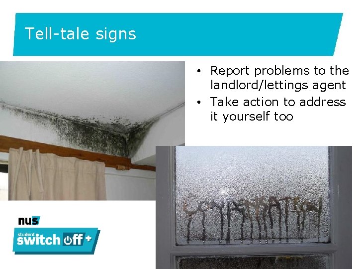 Tell-tale signs • Report problems to the landlord/lettings agent • Take action to address