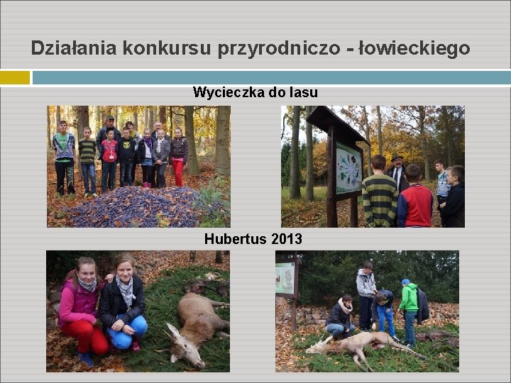 Działania konkursu przyrodniczo - łowieckiego Wycieczka do lasu Hubertus 2013 