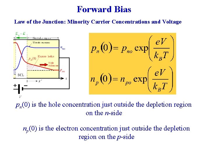 Forward Bias Law of the Junction: Minority Carrier Concentrations and Voltage pn(0) is the