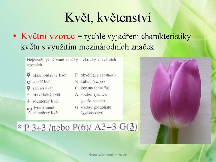 Květ, květenství • Květní vzorec = rychlé vyjádření charakteristiky květu s využitím mezinárodních značek