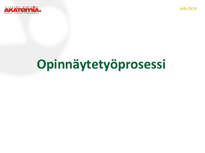 info 2010 Opinnäytetyöprosessi 