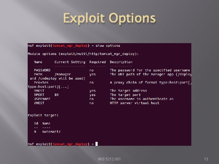 Exploit Options MIS 5212. 001 13 