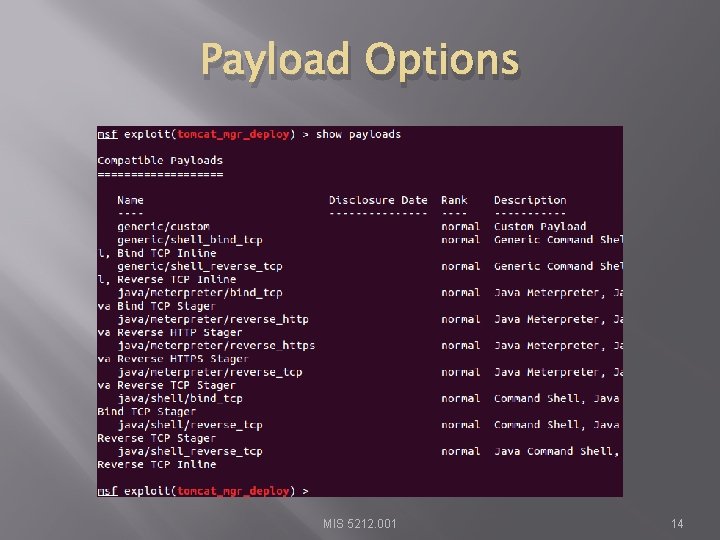 Payload Options MIS 5212. 001 14 