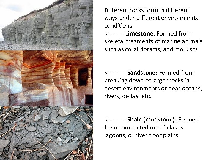 Different rocks form in different ways under different environmental conditions: <---- Limestone: Formed from