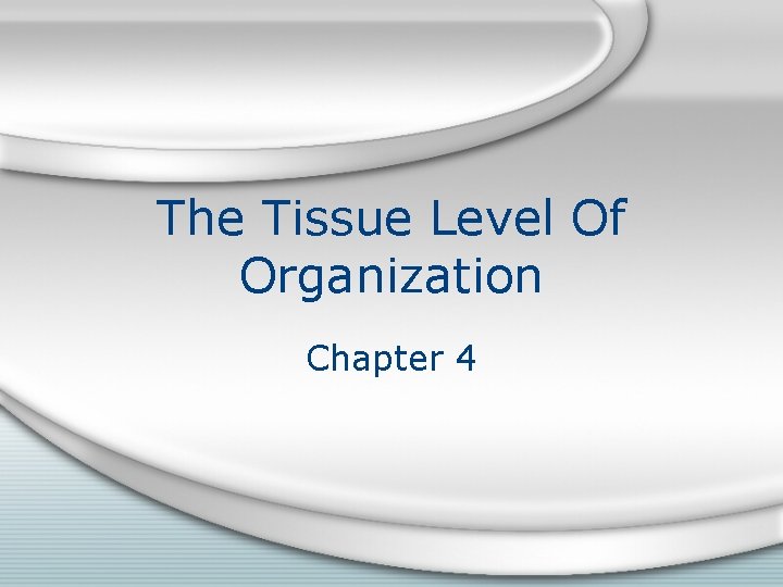 The Tissue Level Of Organization Chapter 4 