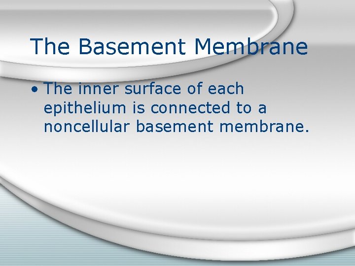 The Basement Membrane • The inner surface of each epithelium is connected to a