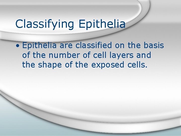 Classifying Epithelia • Epithelia are classified on the basis of the number of cell