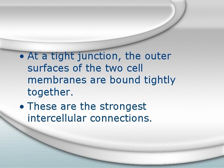  • At a tight junction, the outer surfaces of the two cell membranes