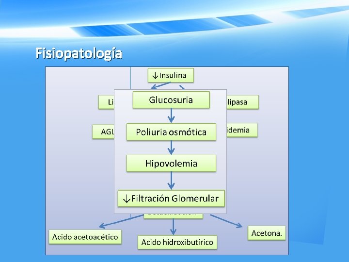 Fisiopatología 