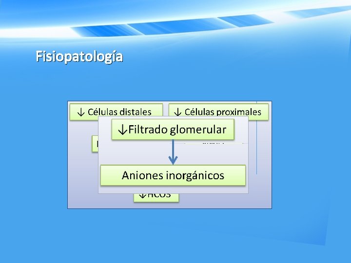 Fisiopatología 
