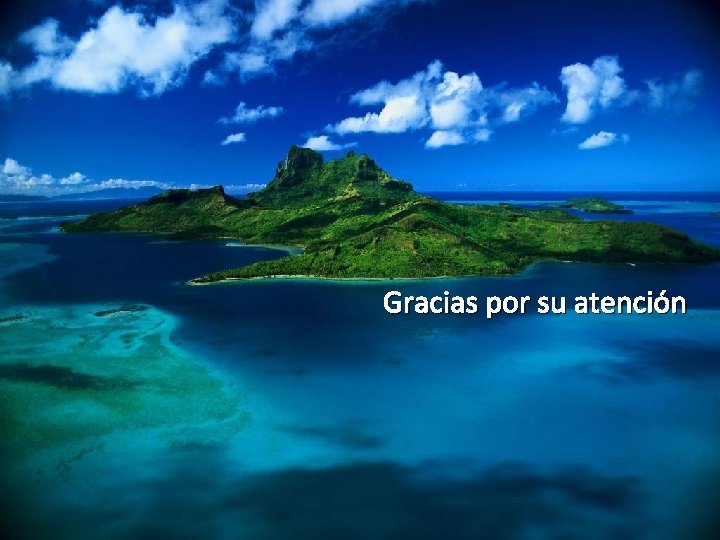 Gracias por su atención 