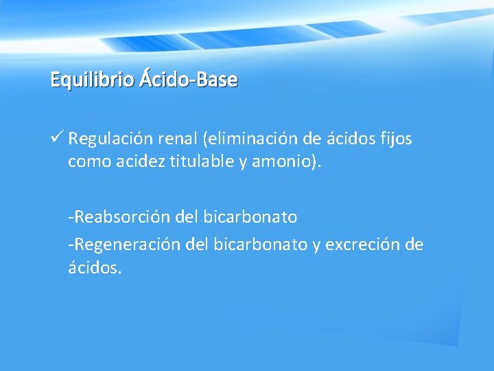 Equilibrio Ácido-Base ü Regulación renal (eliminación de ácidos fijos como acidez titulable y amonio).