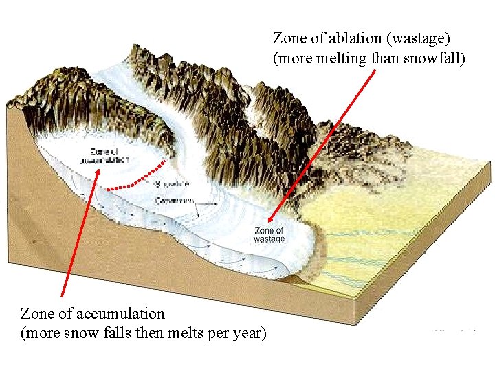 Zone of ablation (wastage) (more melting than snowfall) Zone of accumulation (more snow falls